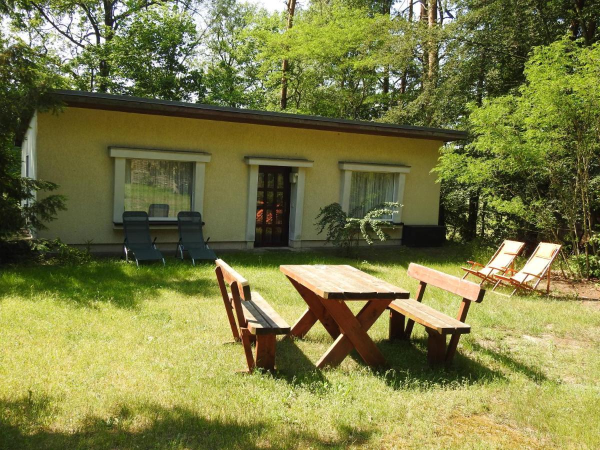Haus Waldfrieden Apartman Bad Saarow Kültér fotó